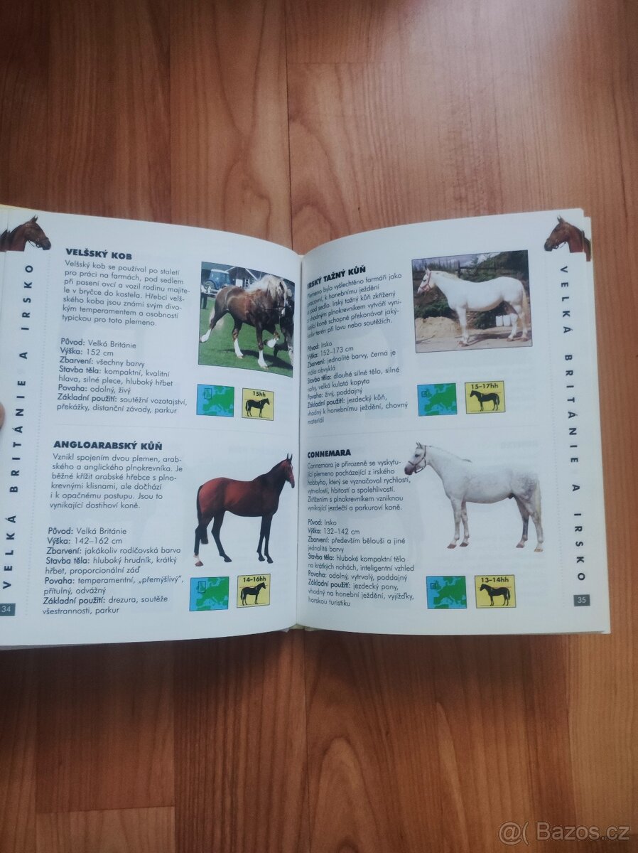 Kniha Koně - obrazový průvodce - 2