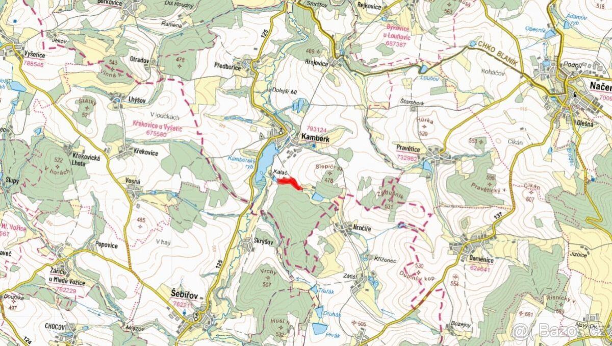 Louka, prodej, Kamberk, Benešov - 2