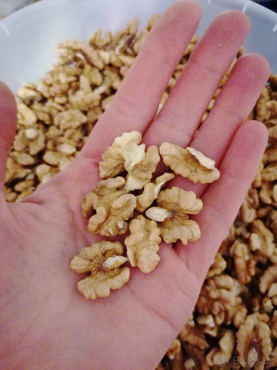 Loupané vlašské ořechy - 2