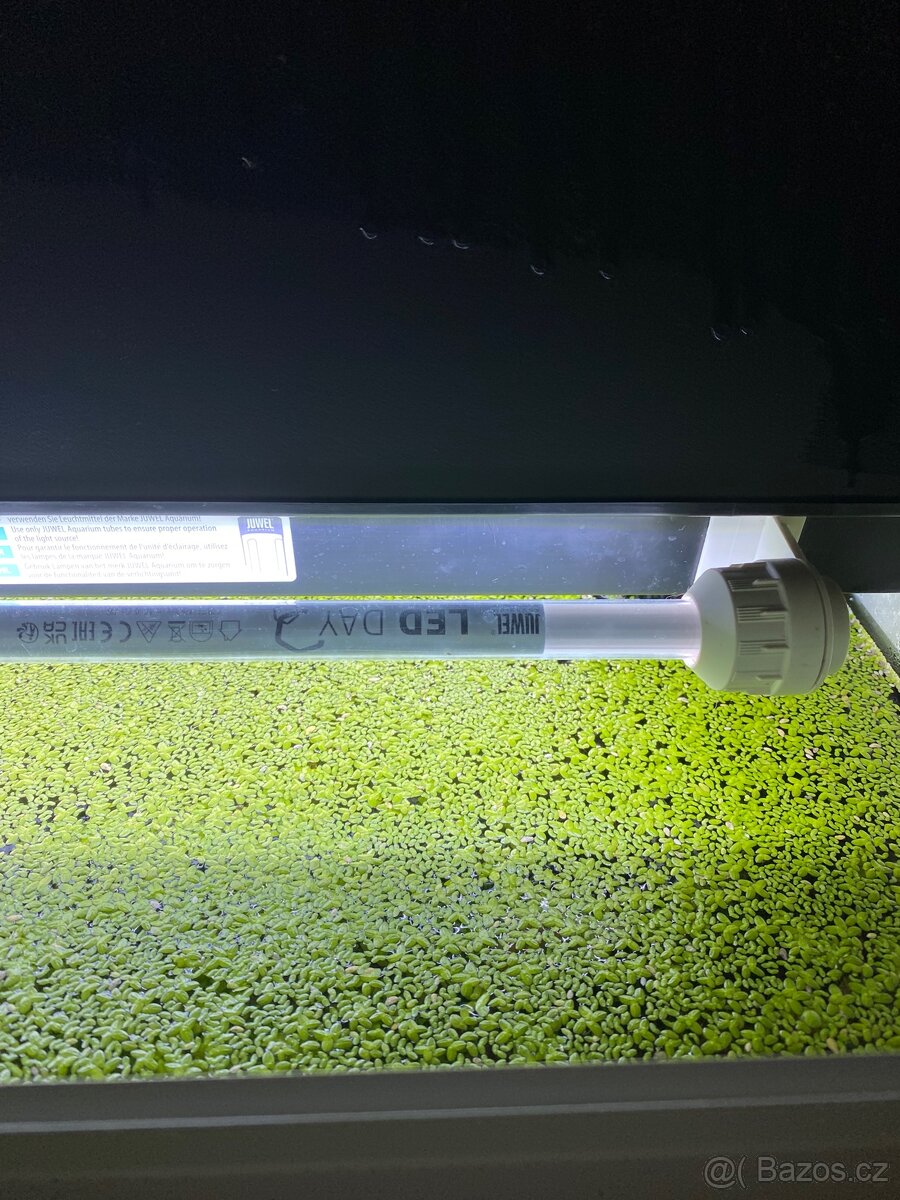 Prodám akvárium Juwel Lido 120 LED bílé - 2