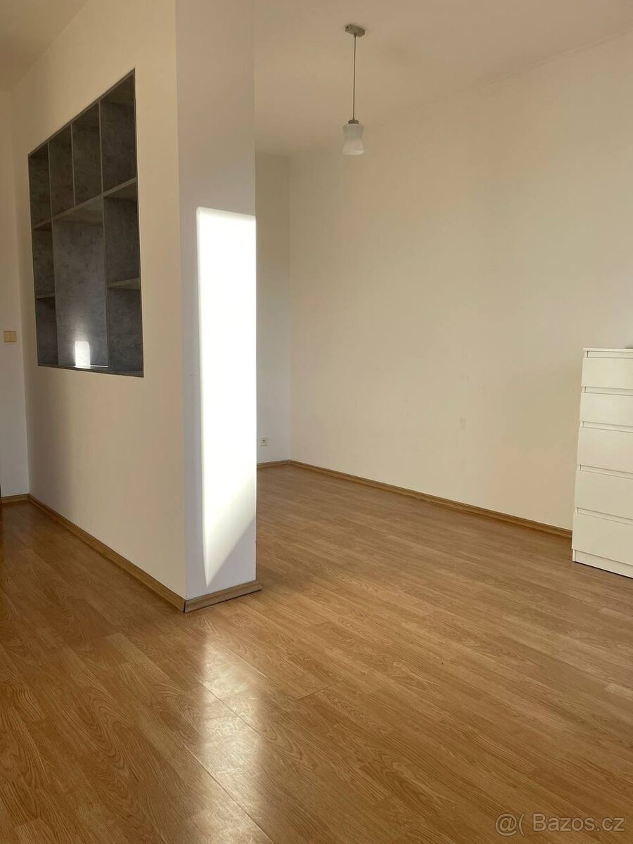 Pronájem bytu Žižkov - 2