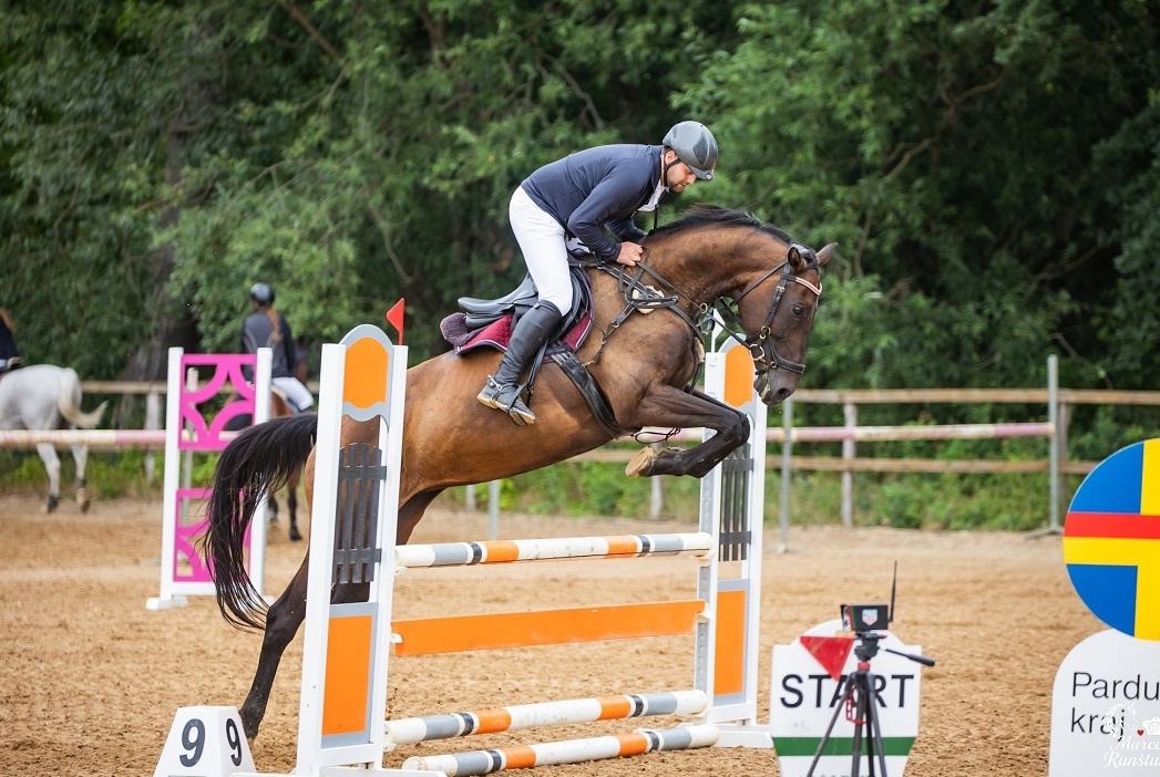 Zdravá sportovní Klisna 14 let - 2