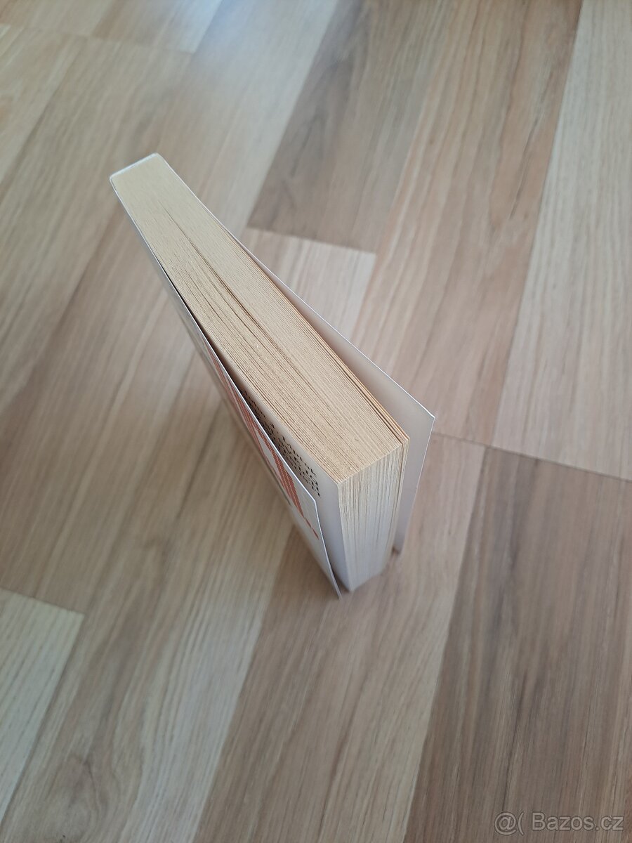 Nová pracovní kniha - 2