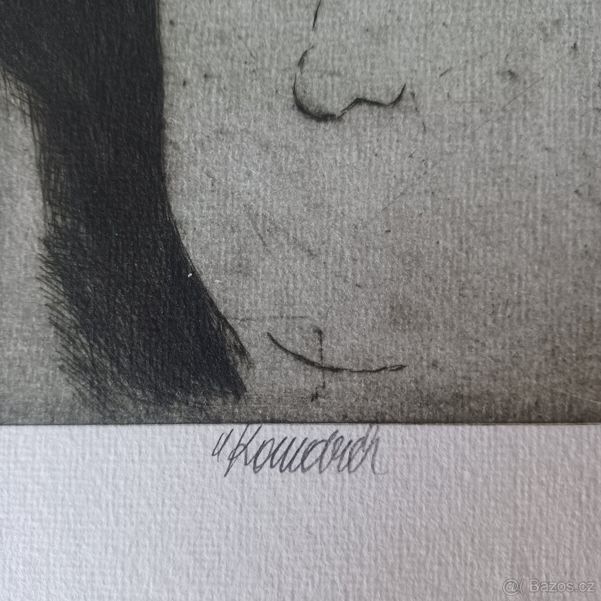 Vladimír Komárek autoportret - 2