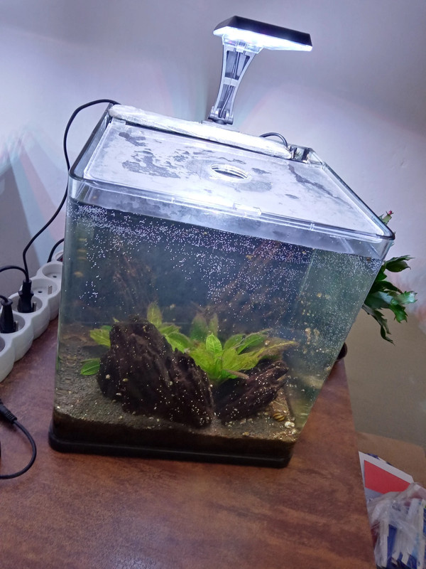 Nano akvárium Invital 18l - 2