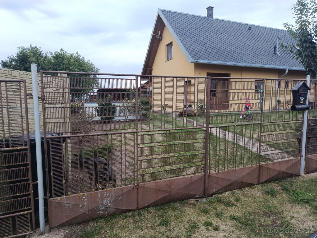 Plot, brána, branka - 2