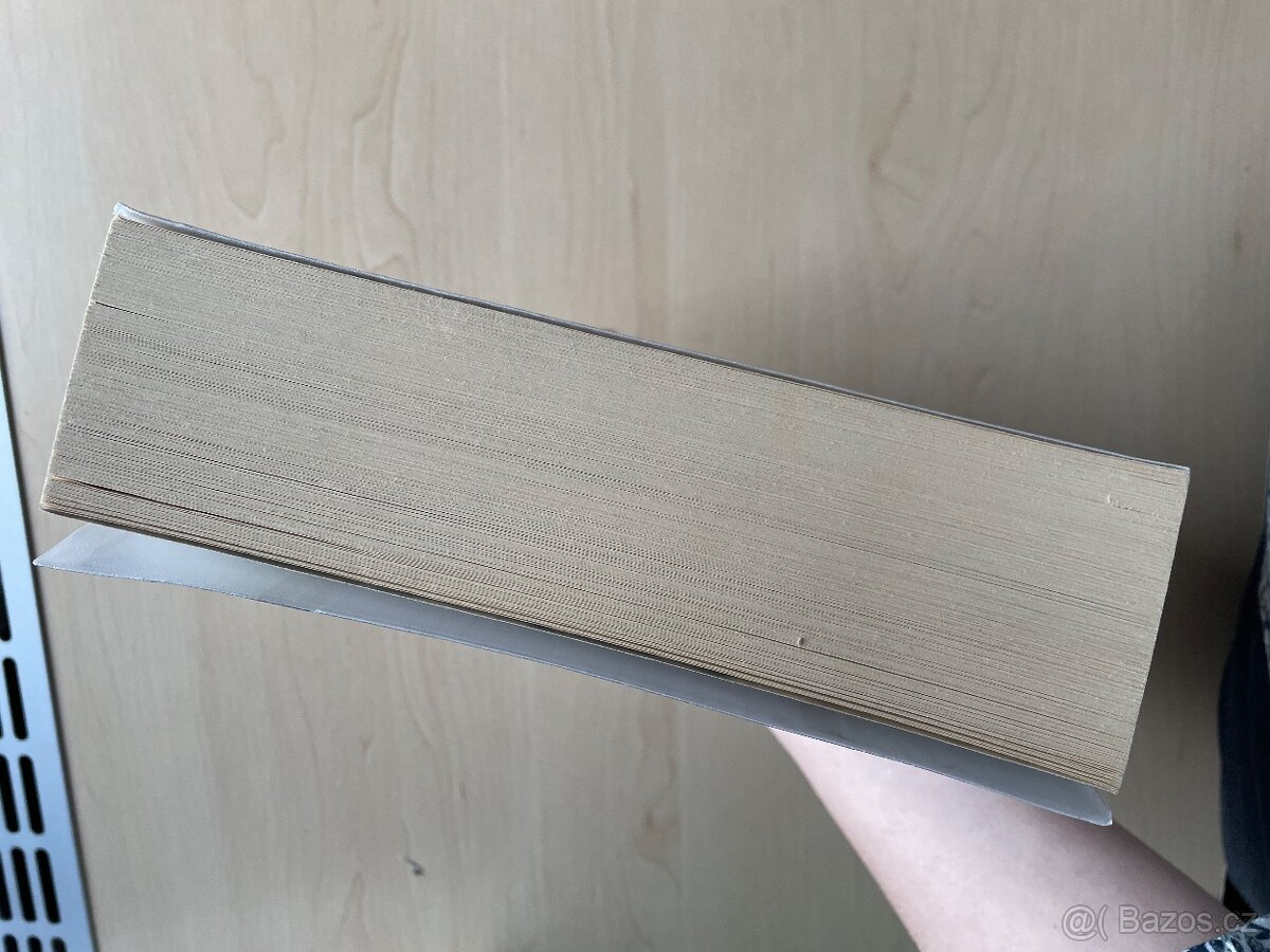 Mráz Bernard Minier - 2