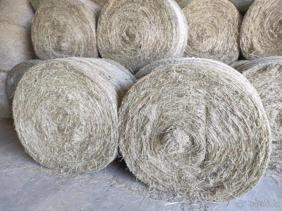 Prodám letošní seno - 2