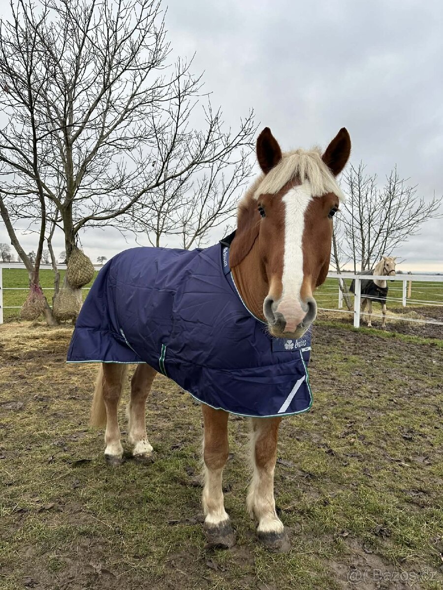 Deka Smartex Extra Bucas 300g big neck vel. 155 - 2