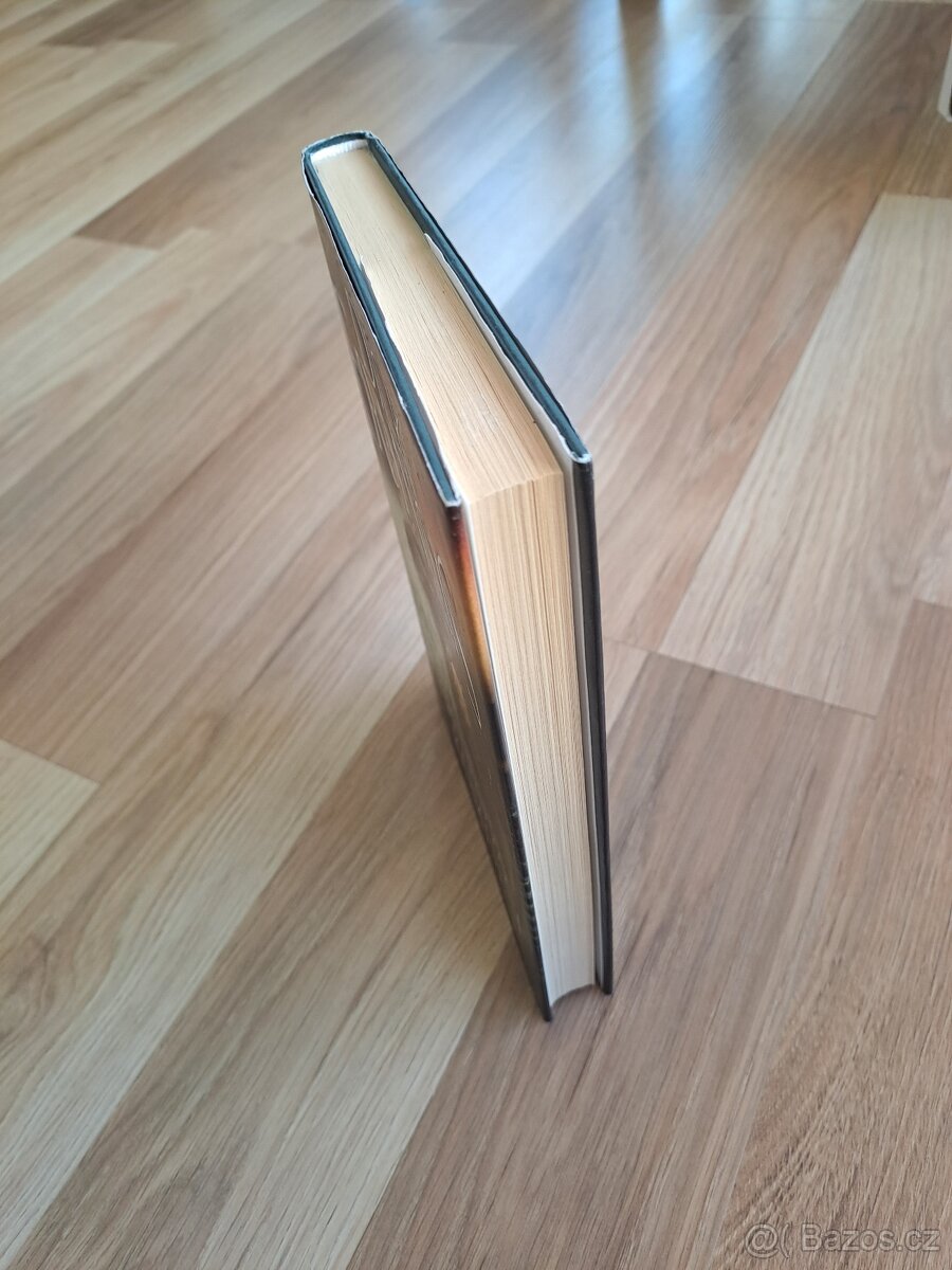 Dick Francis - Vyšetřovací komise - 2