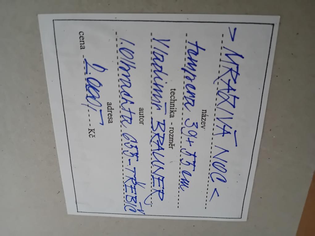 OBRAZ Vladimíra Braunera "MRAZIVÁ NOC" - 2