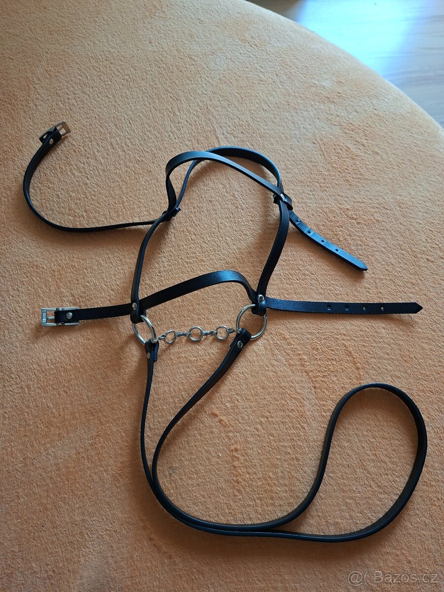 Hobby Horse Rocky s ohlávkou - 2