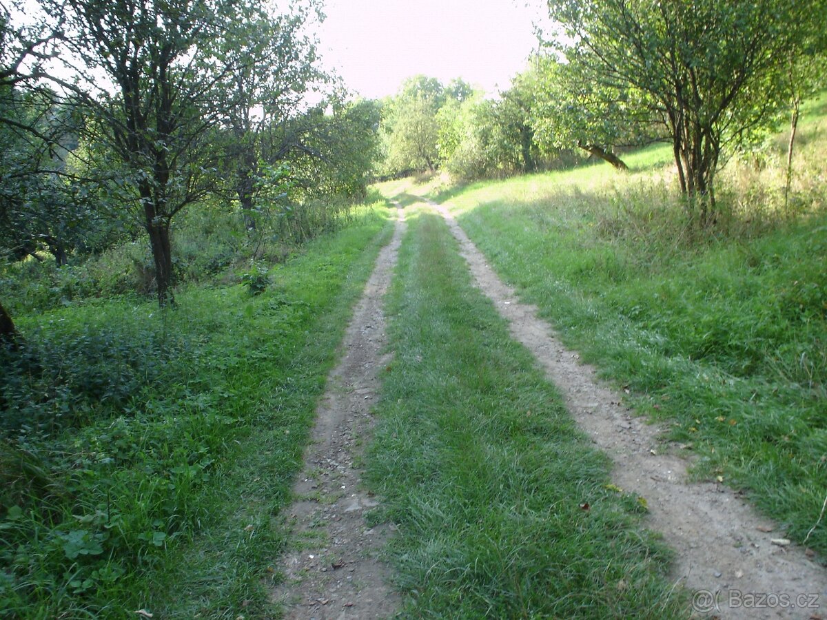 2/3 zahrady Bílovice 680m2 z 1021 m2 - 2