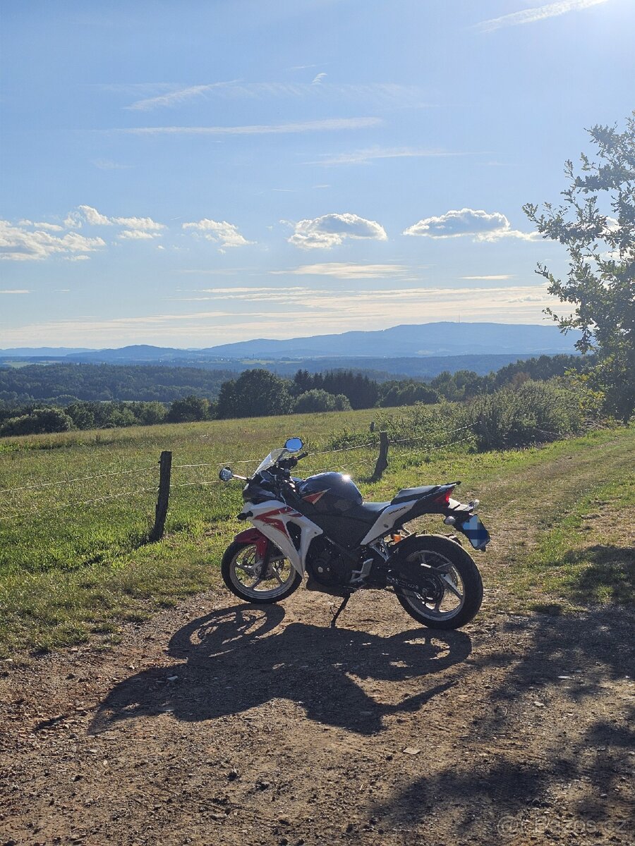 Honda CBR 250r 2011 - 2