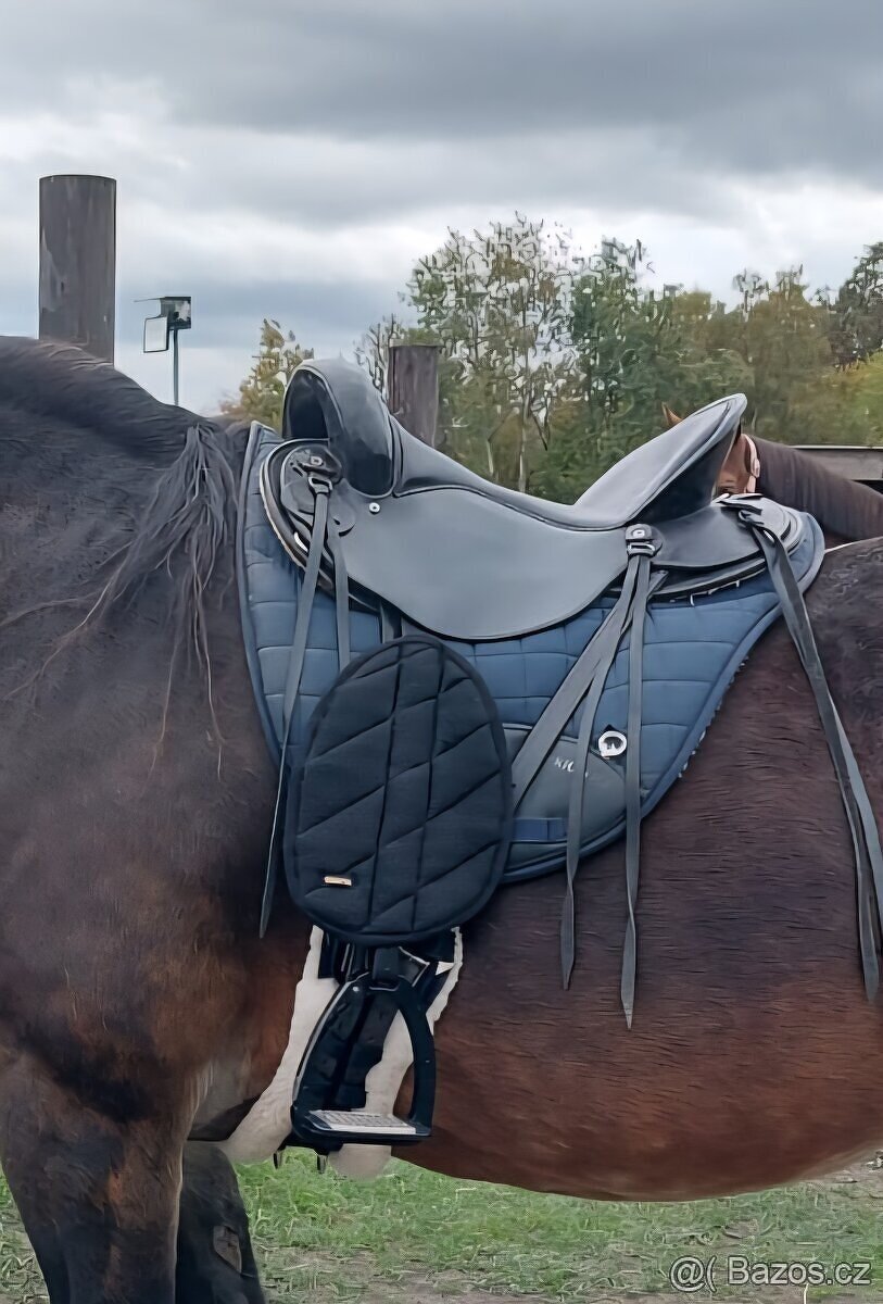 Fendry na endurance - 2