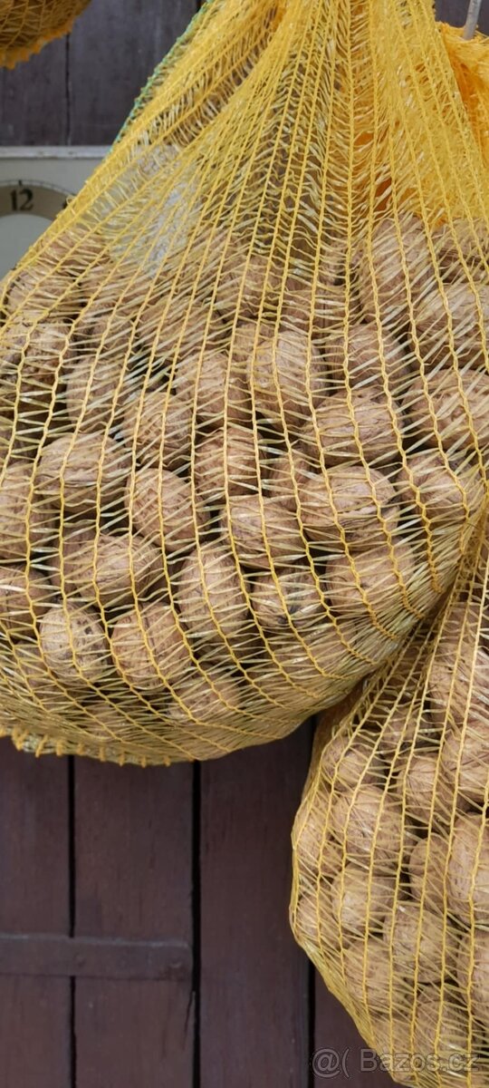 Ořechy.Vanoce.Nevyloupane Praha - 2