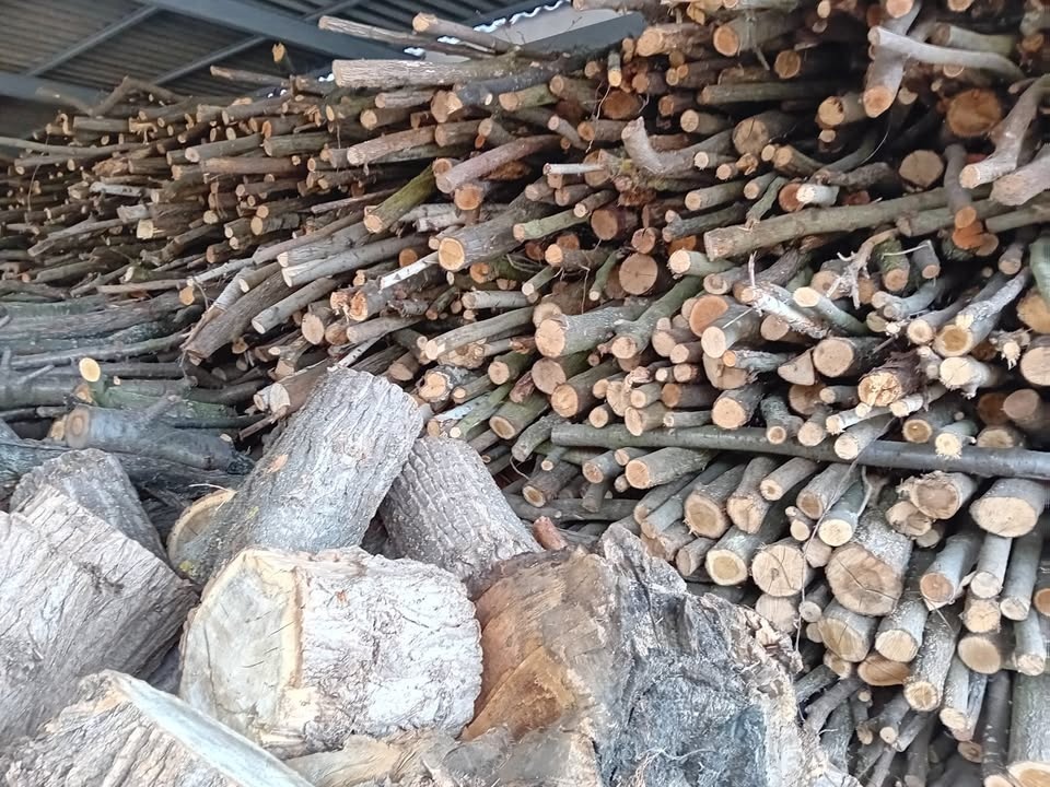 Palivové dřevo - 2