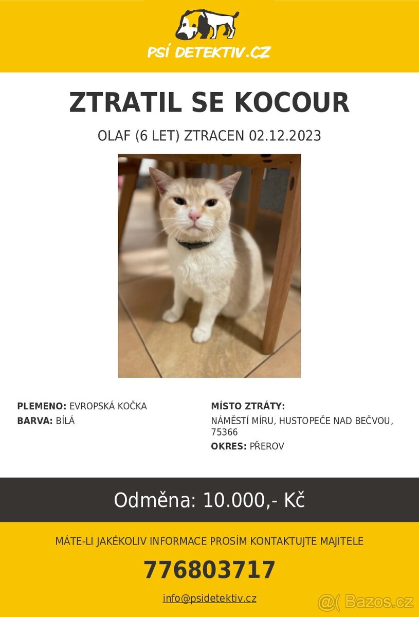 HLEDÁ SE BÍLÝ KOCOUR OLÍ - 2