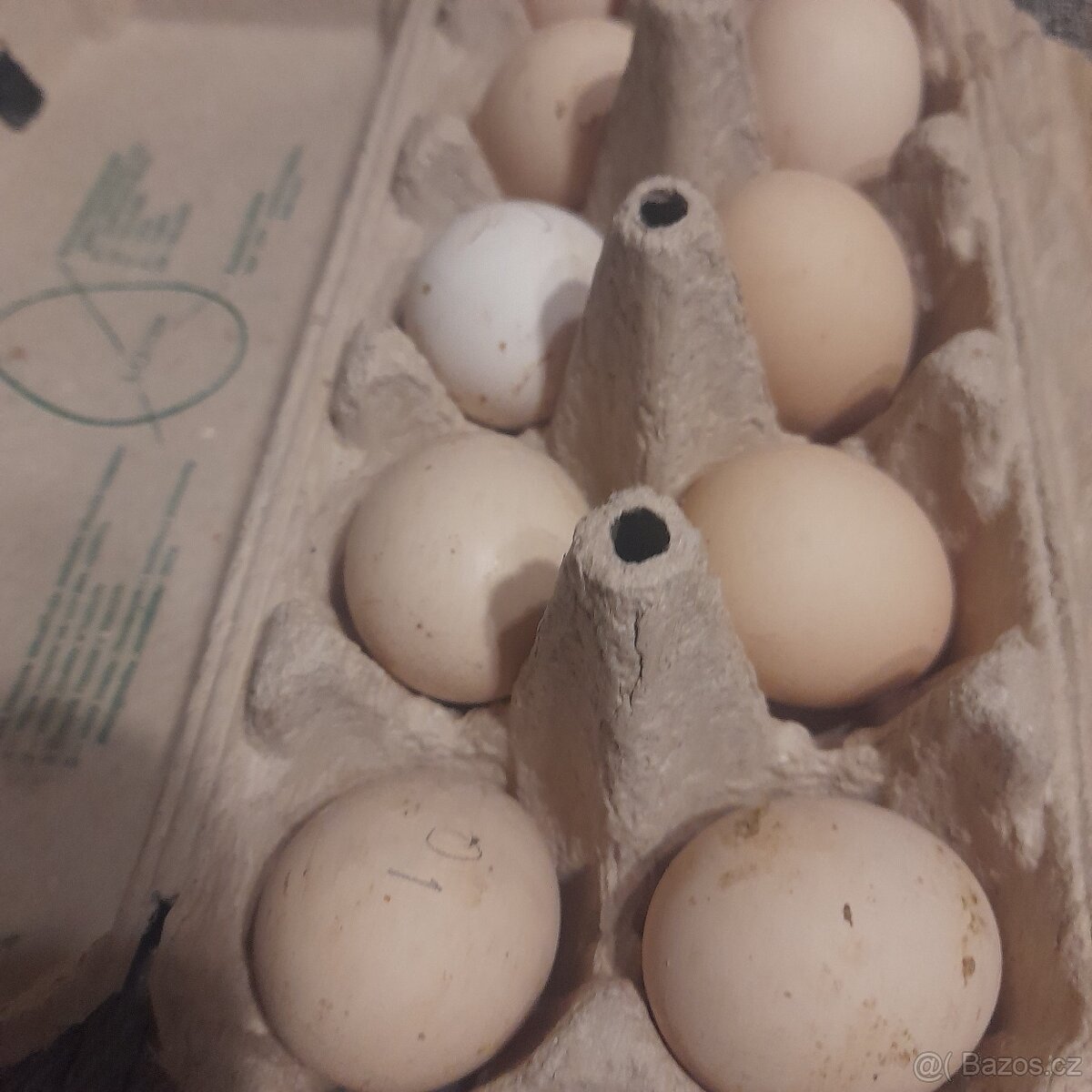 Násadová vejce - 2