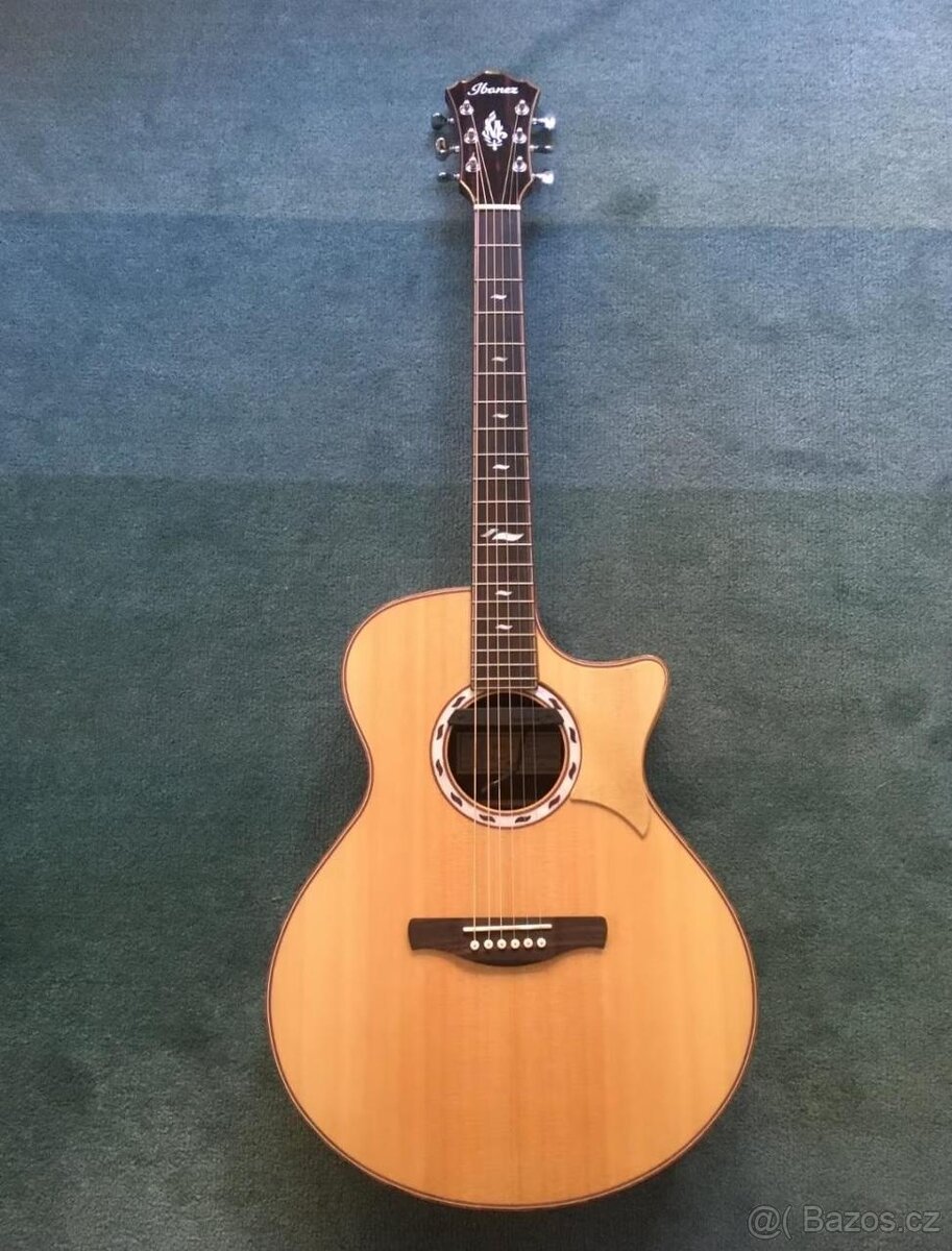 Elektroakustická kytara Ibanez MRC 10 - 2