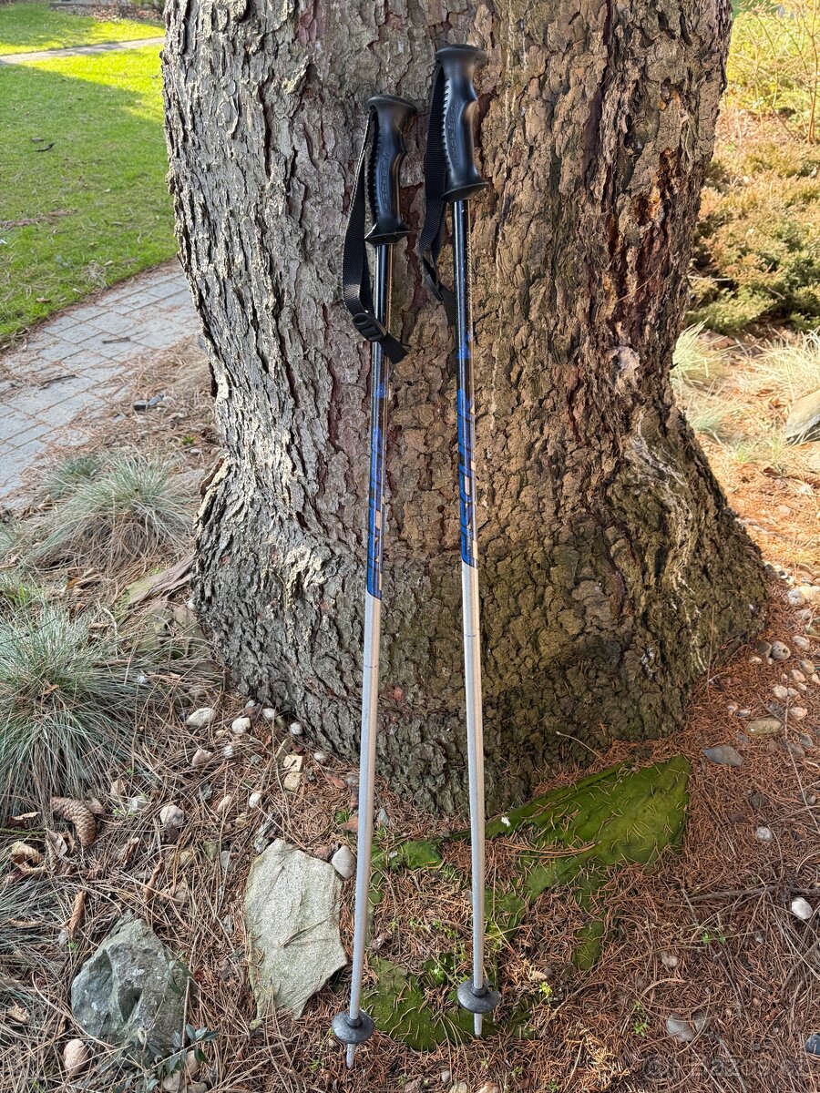 Hůlky na lyže vel 115 - 2