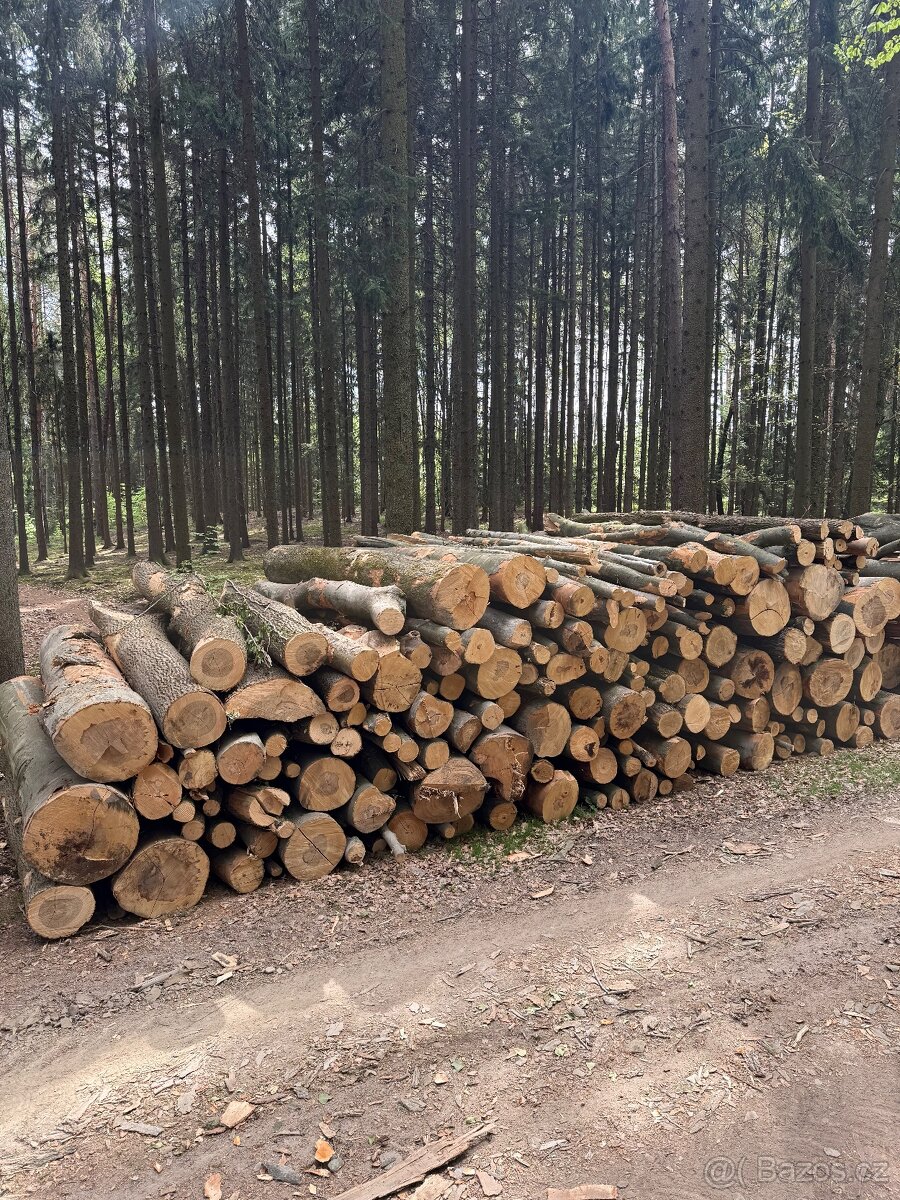 Palivové dřevo - 2