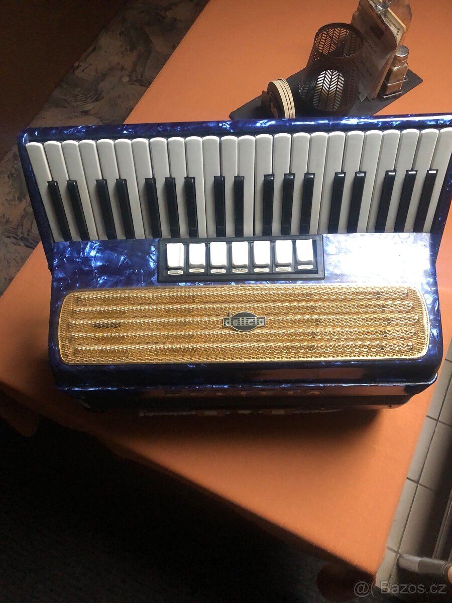 Harmonika Delicia (Accordion) - 2