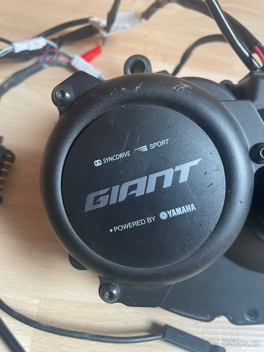 Motor elektrokolo giant - 2