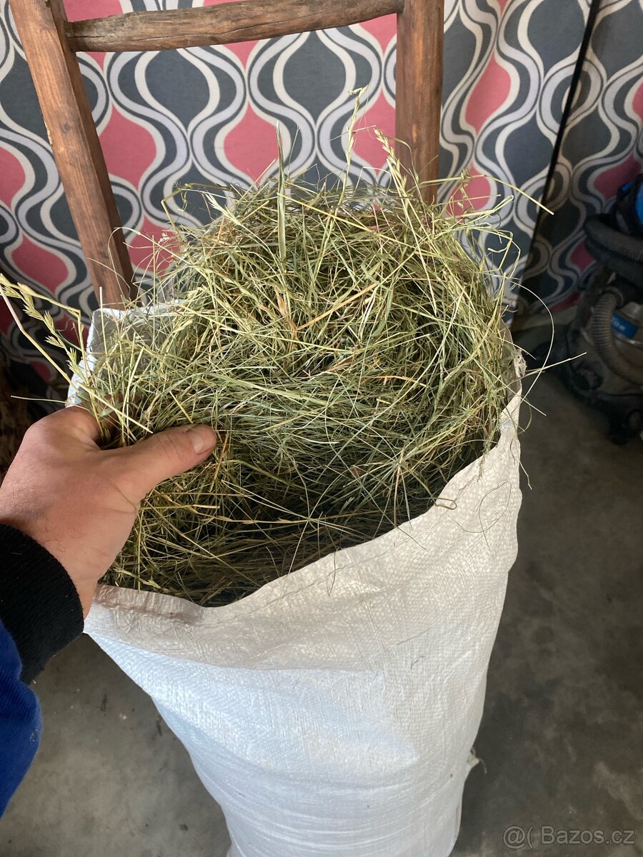 Luční seno - 2