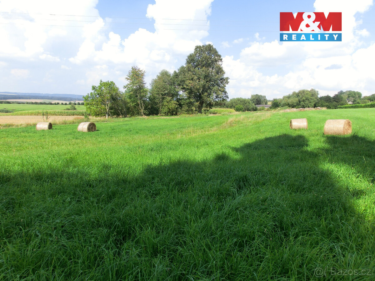 Prodej pozemku, 3885 m², Radenín - 2