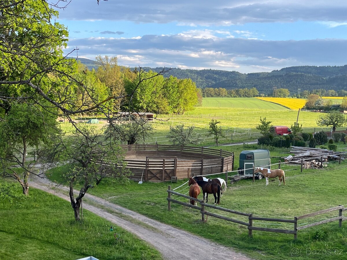 Pastevní ustájení - 2