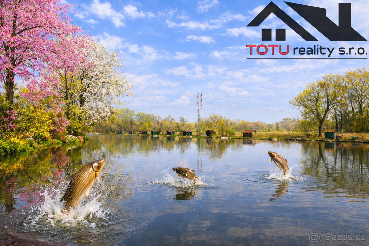 Prodej, rybník Velký Přelov, 44 772 m2, Černožice - 2