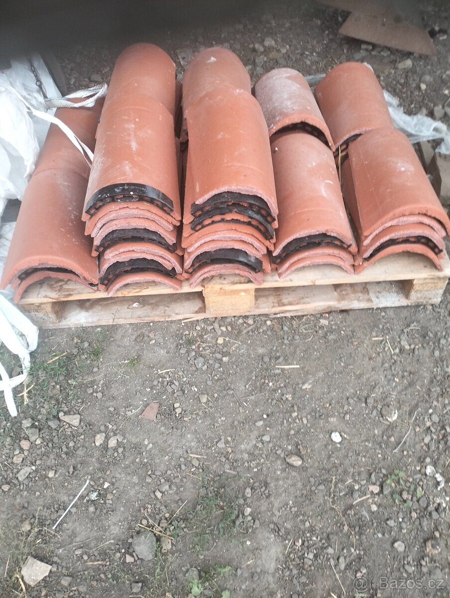 Hřebáče KM Beta - 2