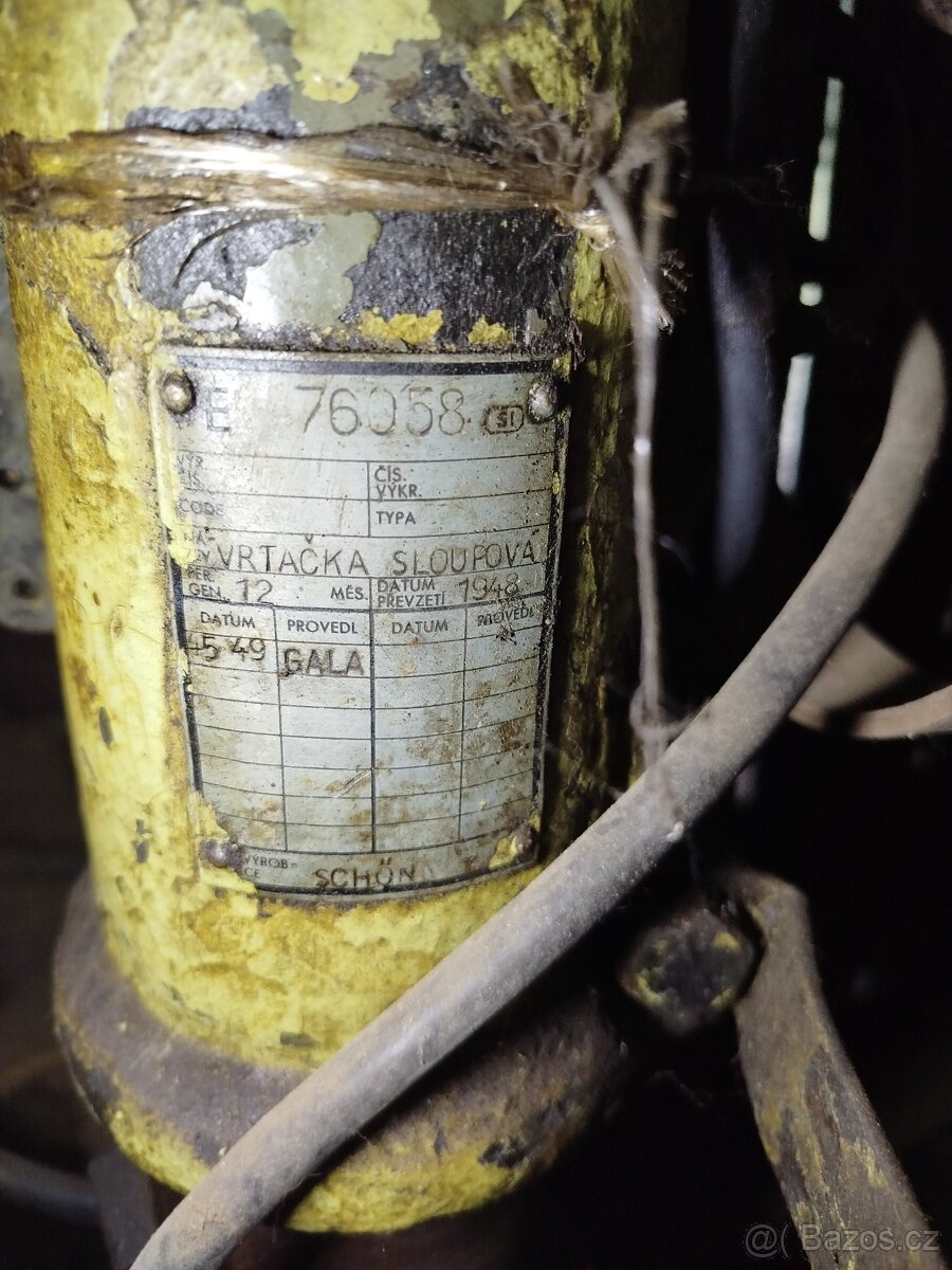 Vrtačka sloupová - 2