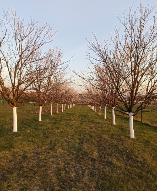 Stavební pozemek Uherský Brod - 2