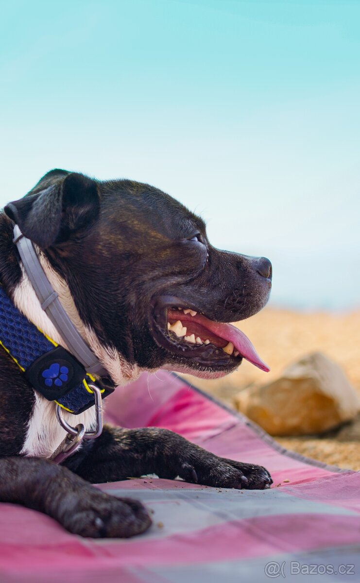 Objektiv SAMYANG 50 mm f/1,4 AS UMC pro Sony E - 2