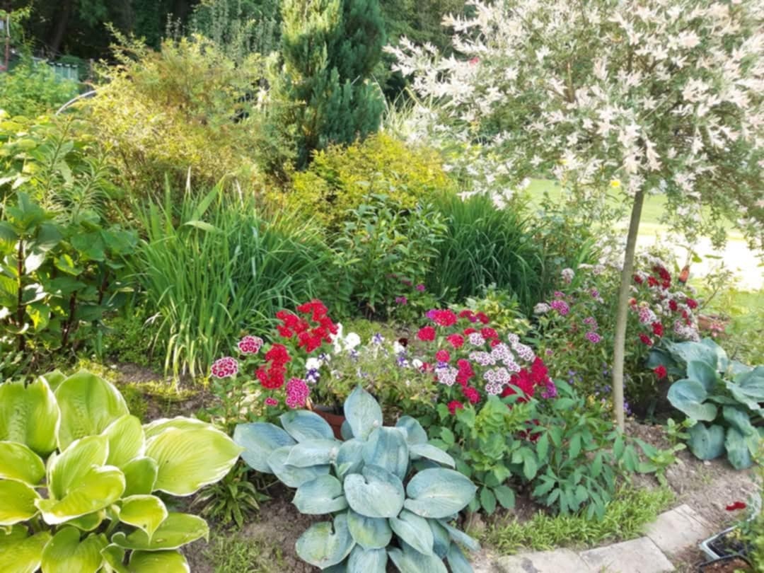 Nabízím osazení vaší zahrady - 2