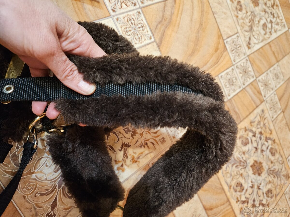 Ohlávka Kentucky full - 2