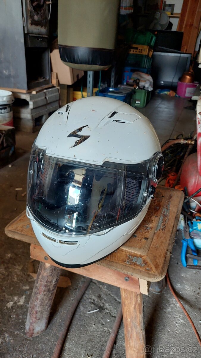 Helma scorpion - 2