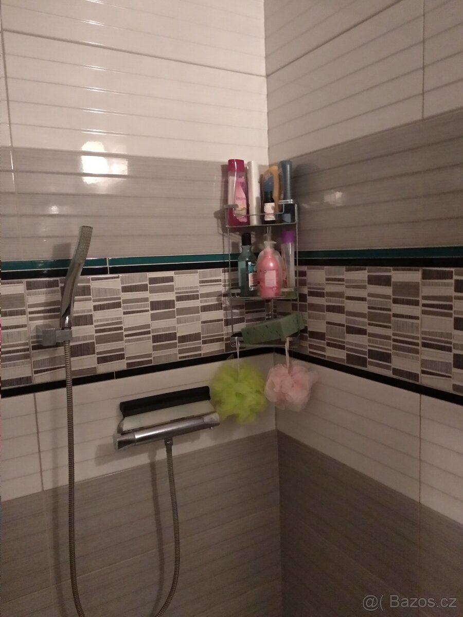 DLOUHODOBÝ PRONÁJEM V PACOVĚ - 2