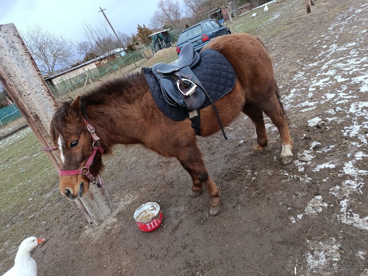 Docházka k poničce - 2