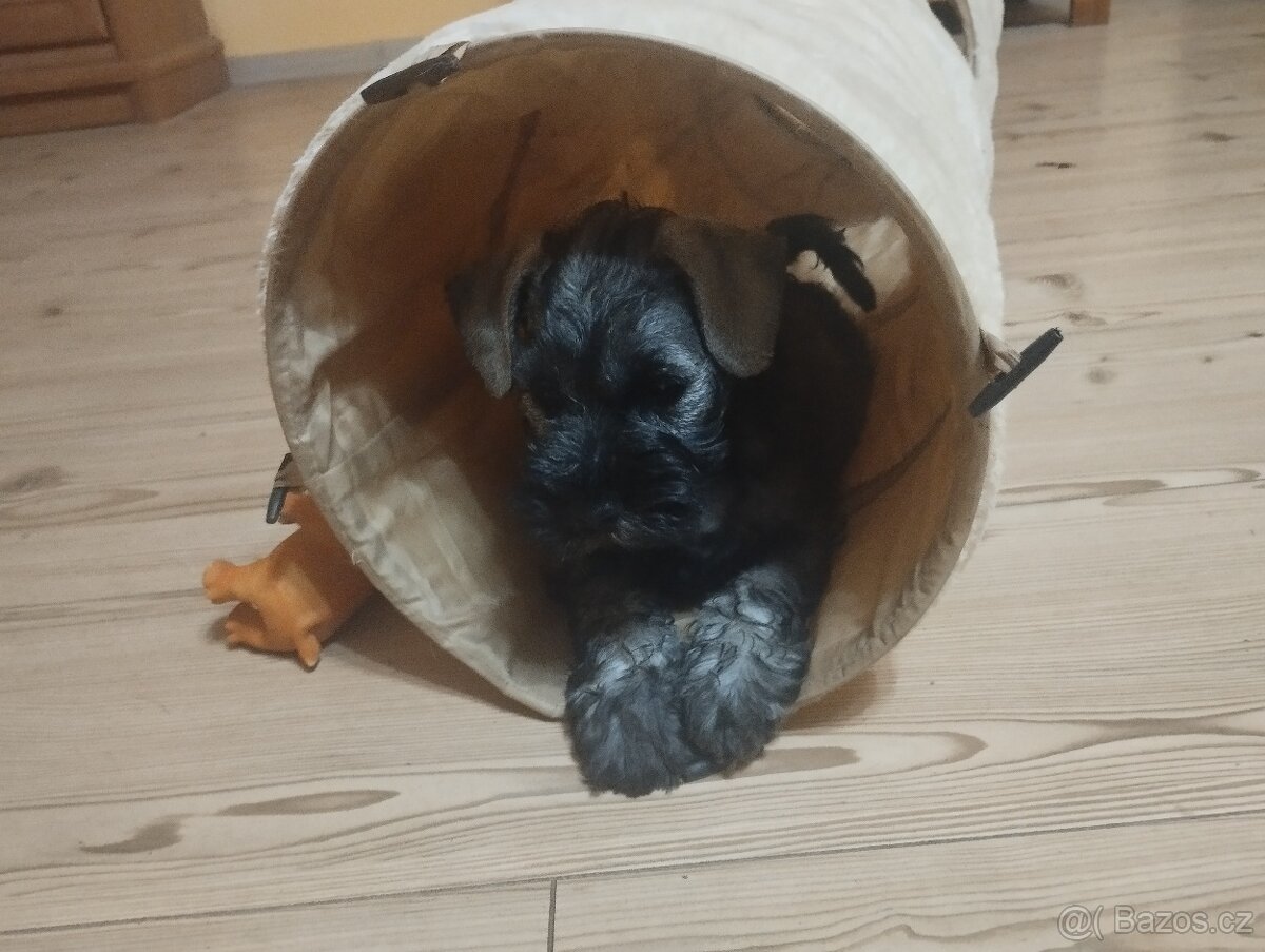 KNÍRAČ MALÝ P+S s PP - 2