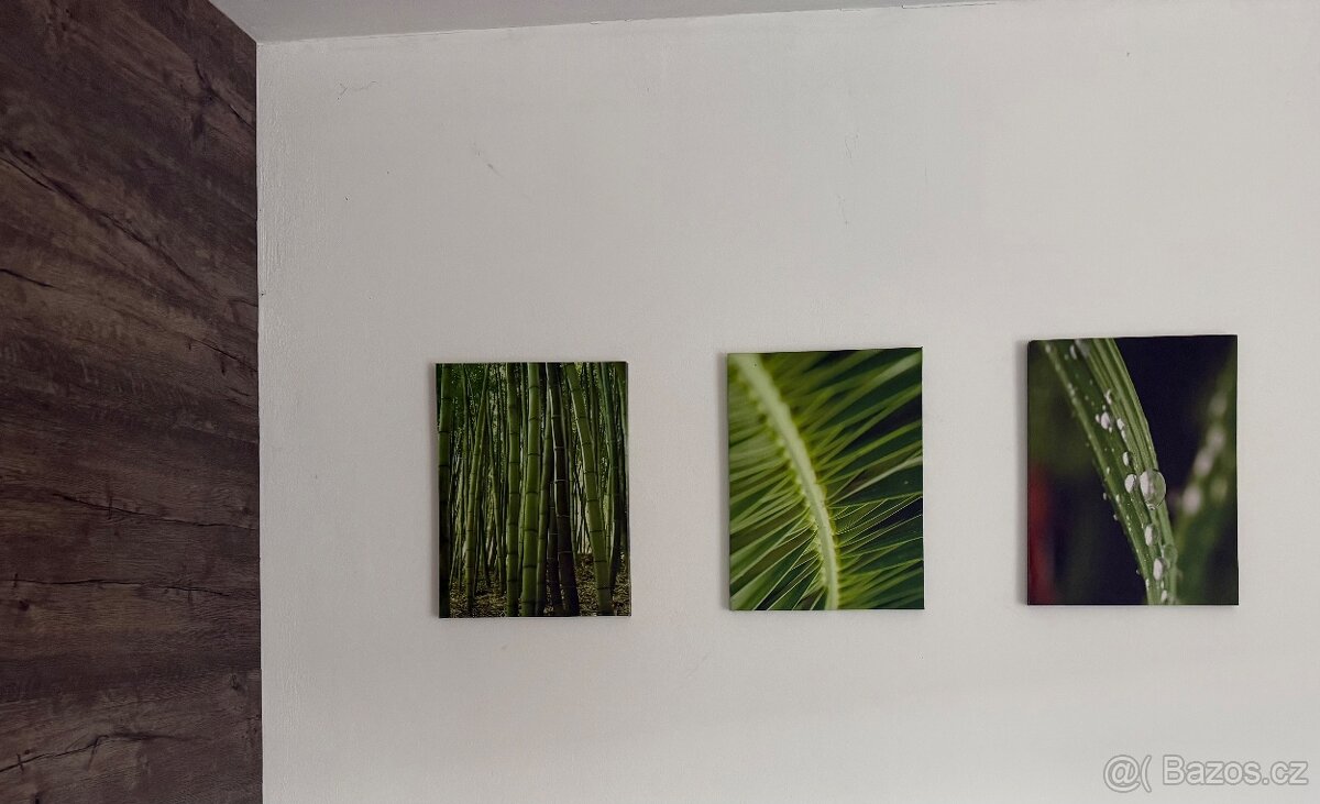 Obrazy na stěnu IKEA 2 velké, 3 malé, motiv zeleň - 2