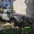 Jaguar Daimler 2,5 V8 - 2