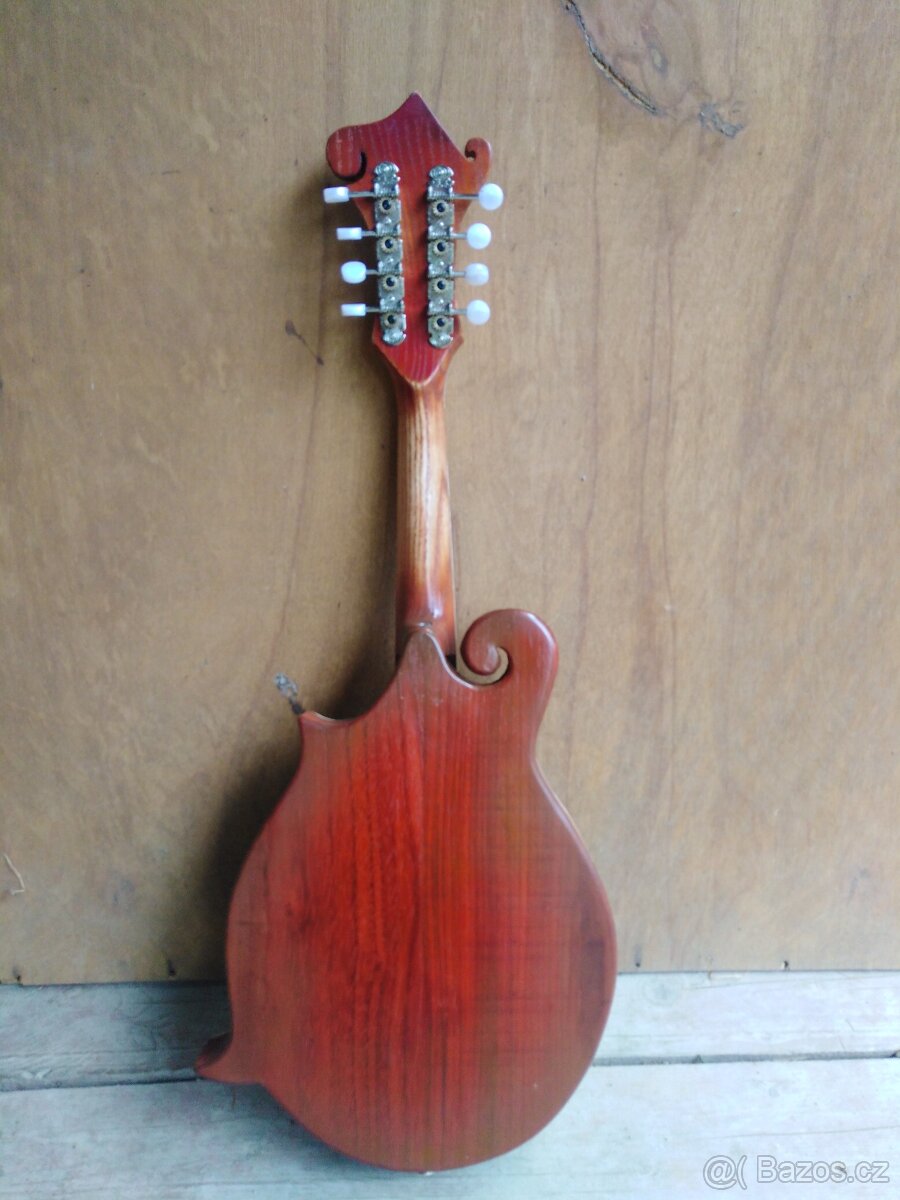 Prodám mandolínu F5 - 2