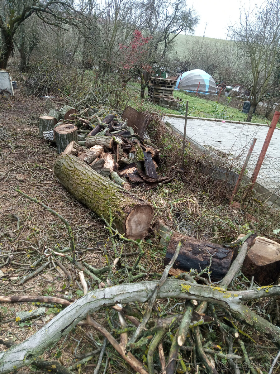 REZERVOVANO - Dřevo - 2