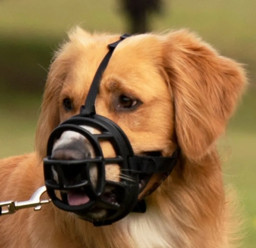 Náhubek Baskerville Ultra Muzzle vel.5 - 2