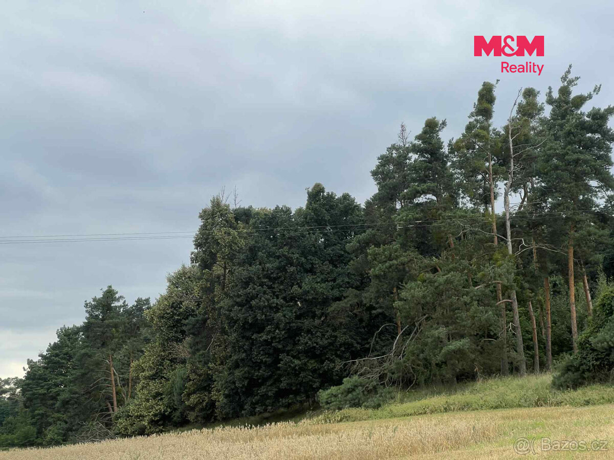 Prodej lesa, 4321 m², Tři Dvory - 2