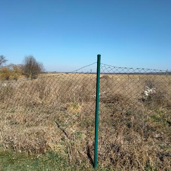 pronajmu mzahradu - 2