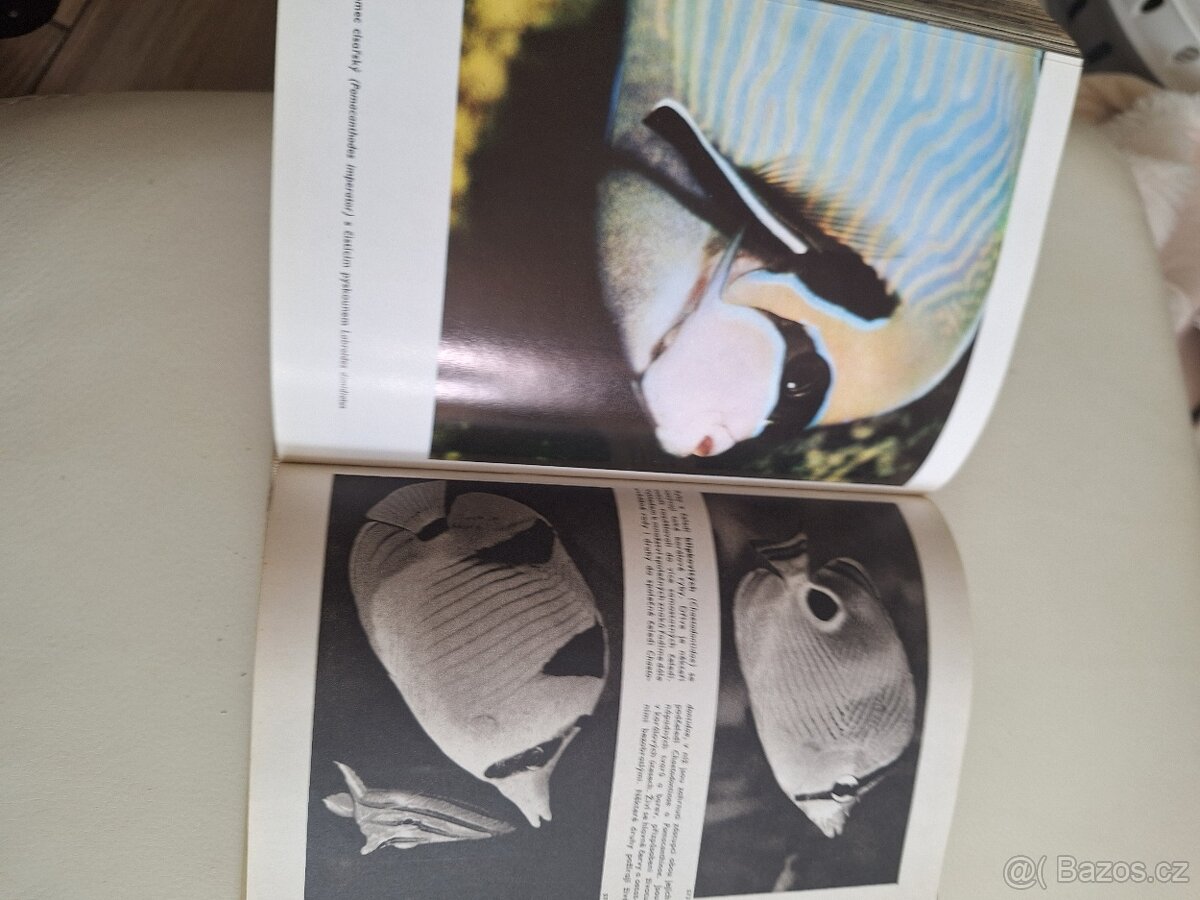 Velký obrazový atlas ryb - 2